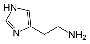 300px-Histamine